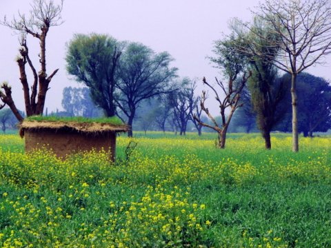 Rural landscape of Bhimber District, Azad Kashmir