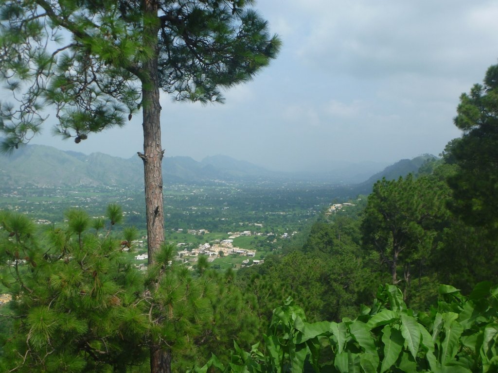 Green hills of the Samahni valley near Kadyala, Bhimber District