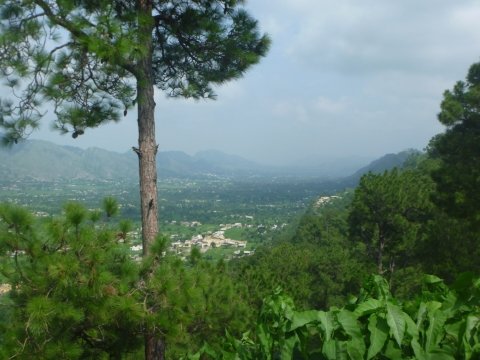 Green hills of the Samahni valley near Kadyala, Bhimber District